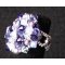 Kit bague Bounty Violet Purple